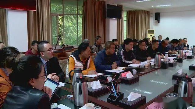 德昌最新新聞，擁抱自然，心靈寧靜之旅啟程