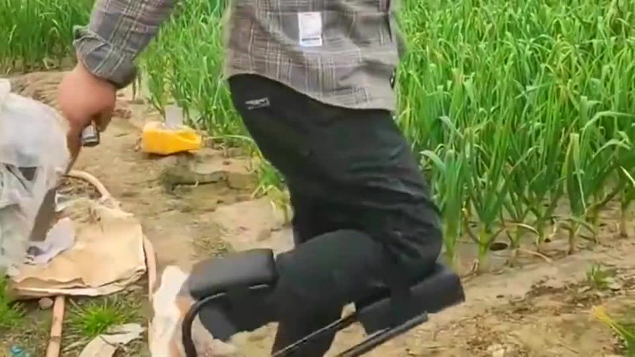 最新挖蒜工具，心靈與自然的完美交融