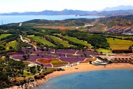 心悅海島探險(xiǎn)攻略，最新任務(wù)指南與探險(xiǎn)體驗(yàn)