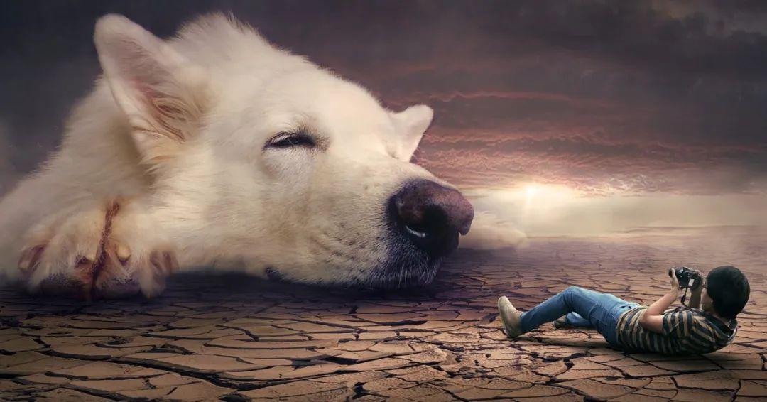 夢(mèng)境最新研究揭秘，探索人類(lèi)夢(mèng)境的奧秘