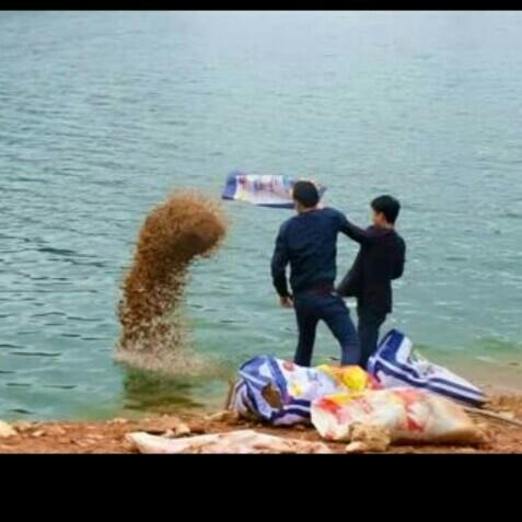 科學(xué)釣魚最新探索，學(xué)習(xí)與實踐的成就感之旅