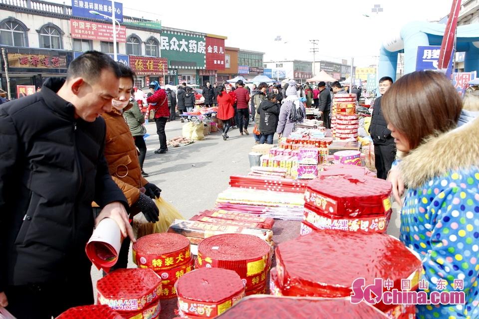 淘元素最新，淘淘的奇妙冒險(xiǎn)之旅與友情的溫暖體驗(yàn)