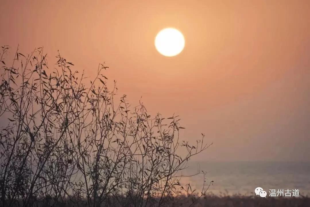 最新瘟疫詩(shī)詞，時(shí)代之聲與人文關(guān)懷的交融展現(xiàn)