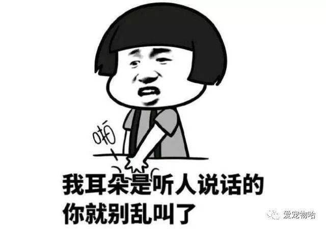 最新枕邊笑話，科技小寶貝，生活添樂趣