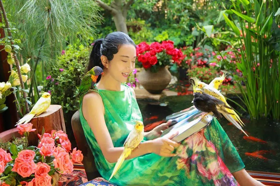 昆明最新舞蹈，文化現(xiàn)象的深度探討