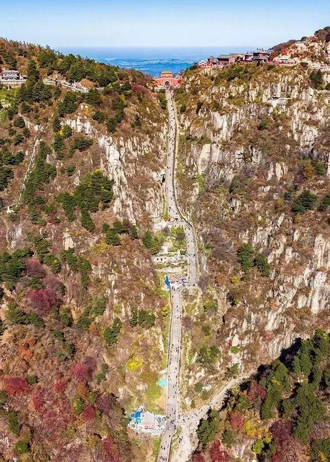 泰山最新聞，觀點與立場的深度探討