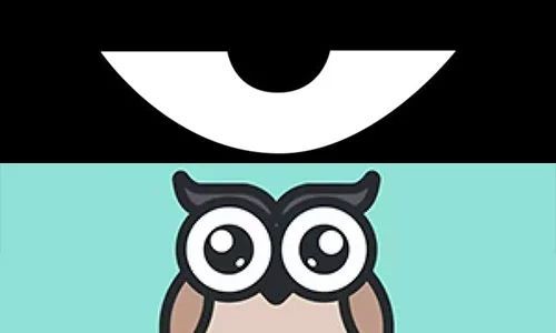 最新積目，全面解讀與觀點闡述