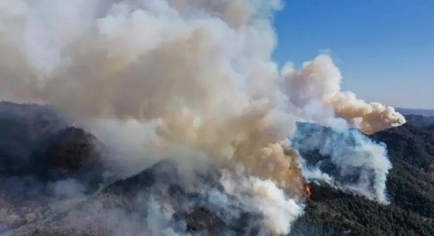 榆社山火防控指南，從初學(xué)者到進(jìn)階用戶(hù)的全步驟學(xué)習(xí)與防火任務(wù)實(shí)踐