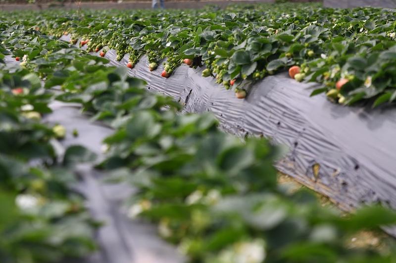 湖北最新封鎖，科技智能重塑防線，守護(hù)生活安全