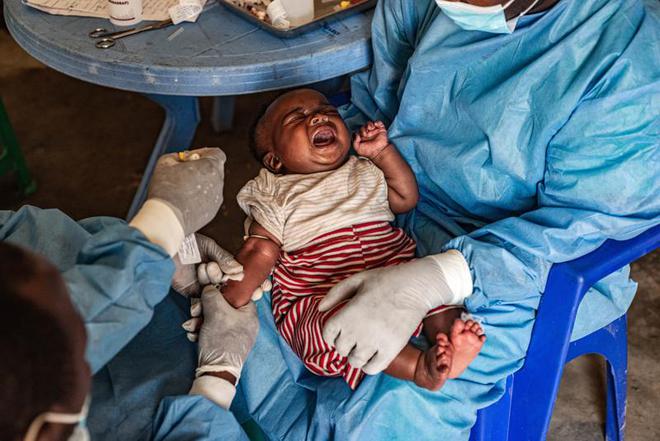 本土感染最新情況，自然美景中的探索之旅