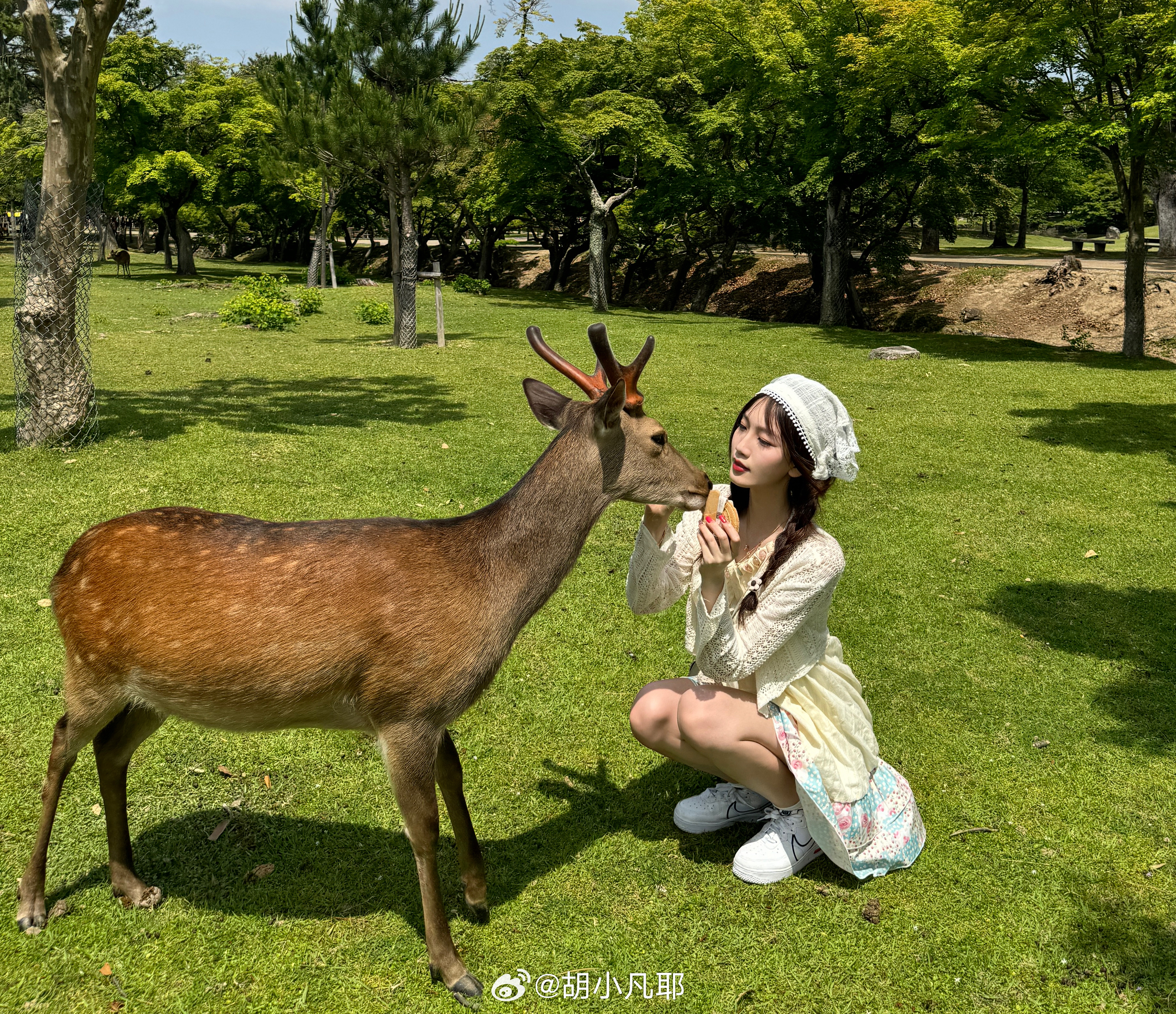 小鹿鹿最新，自然美景的探索之旅