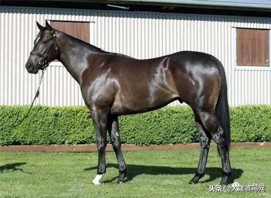 卡拉卡最新指南，任務完成與技能學習步驟攻略