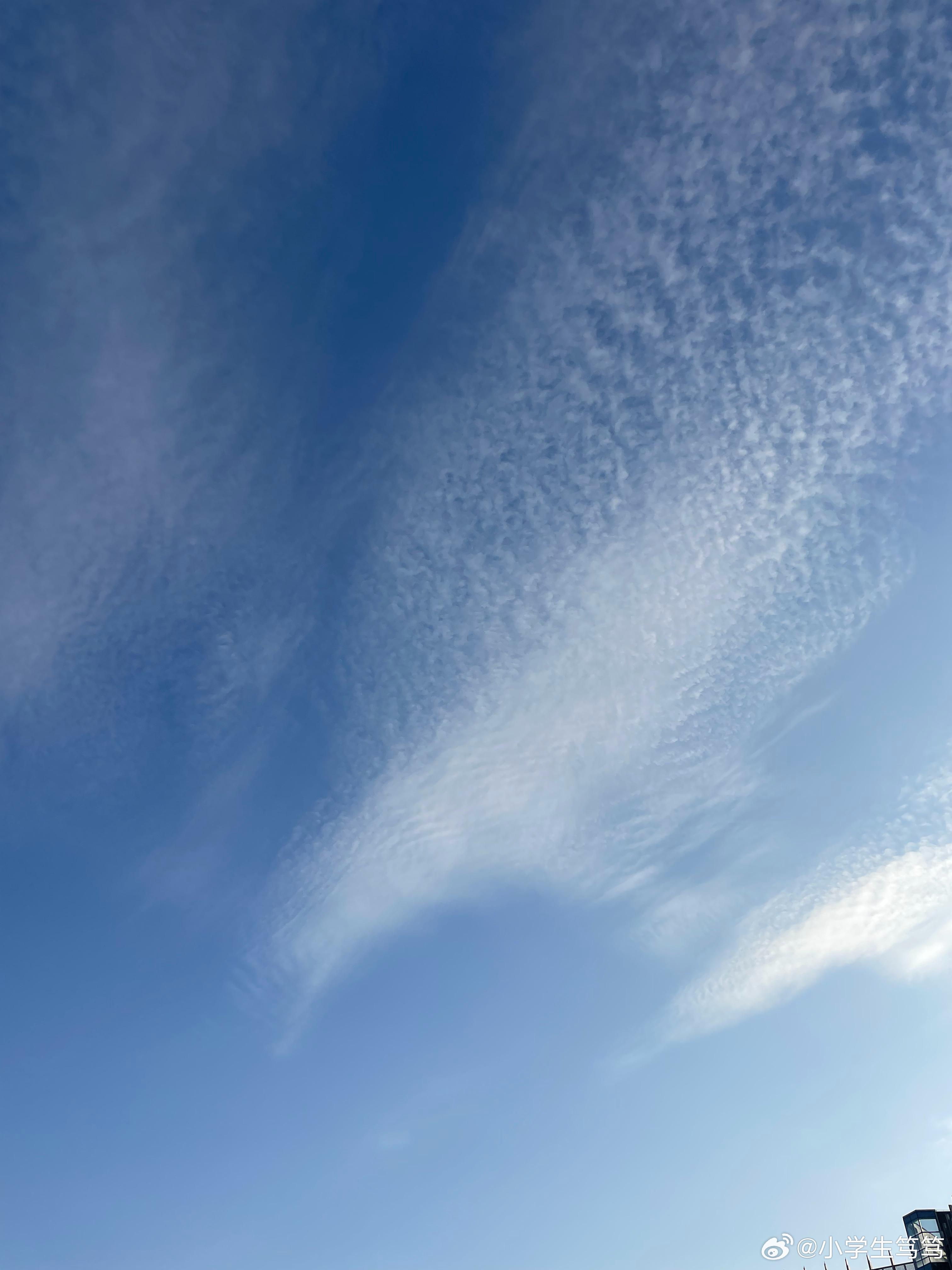 云飄飄最新，小巷深處的獨(dú)特風(fēng)味美食體驗(yàn)