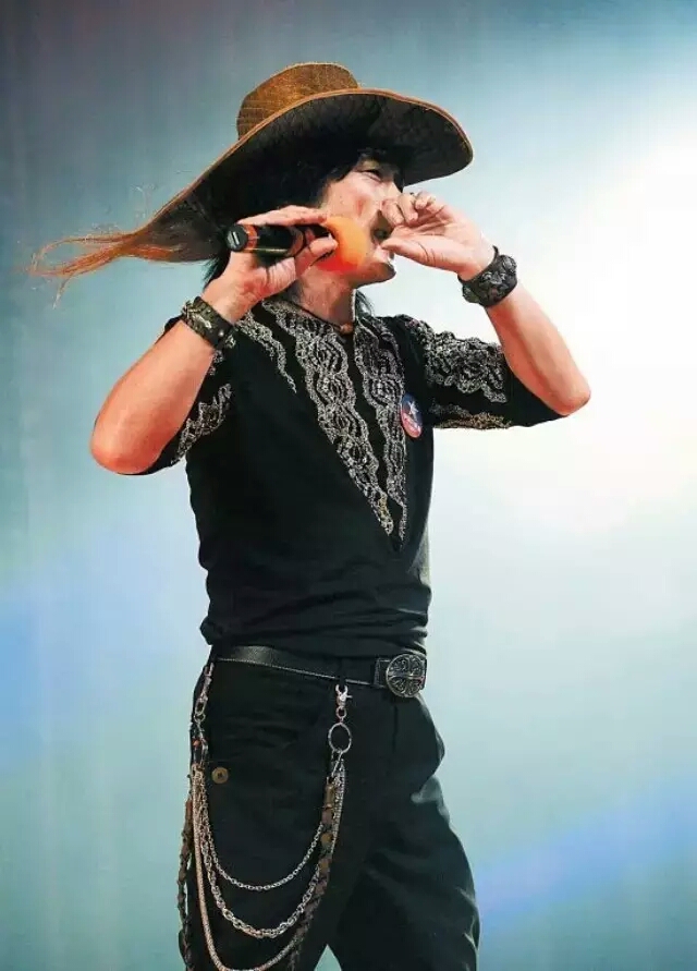 指哨最新，自然美景之旅，探尋內(nèi)心平靜與喜悅的旅程