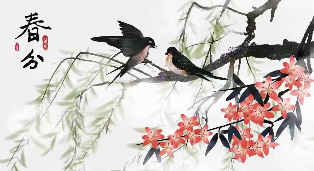 春分最新圖片，展現(xiàn)自然之美的瞬間