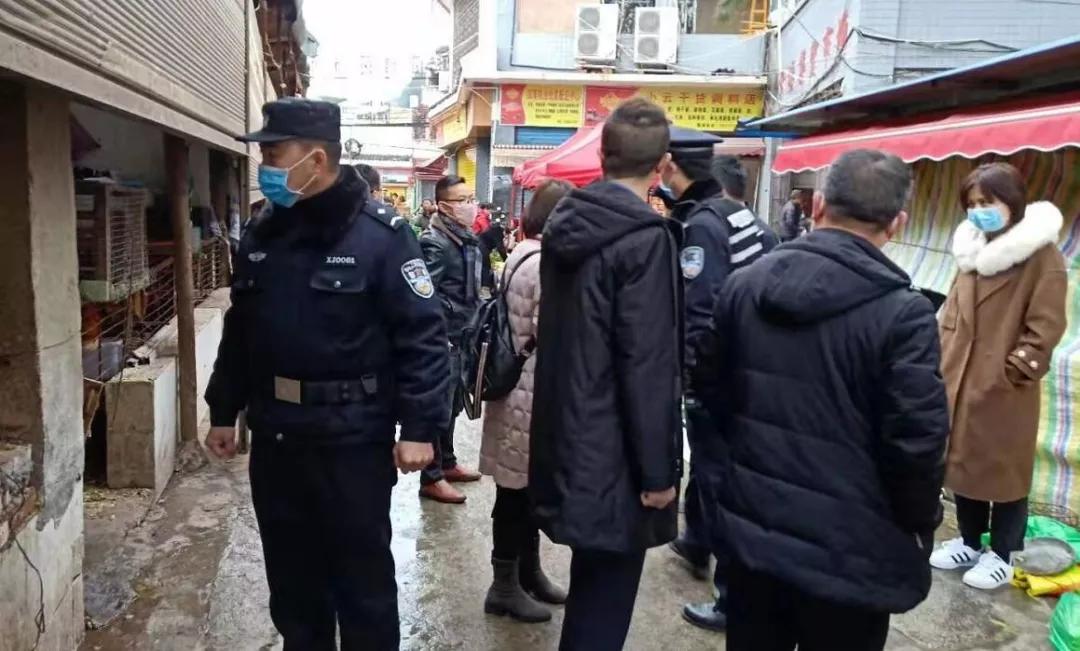 紫云縣最新發(fā)展論述概覽