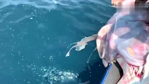 最新魚人流技術(shù)革命，高科技產(chǎn)品重塑未來生活體驗