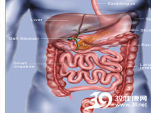 高科技產(chǎn)品重塑生活，體驗(yàn)前沿魅力，探索腸鳴最新技術(shù)