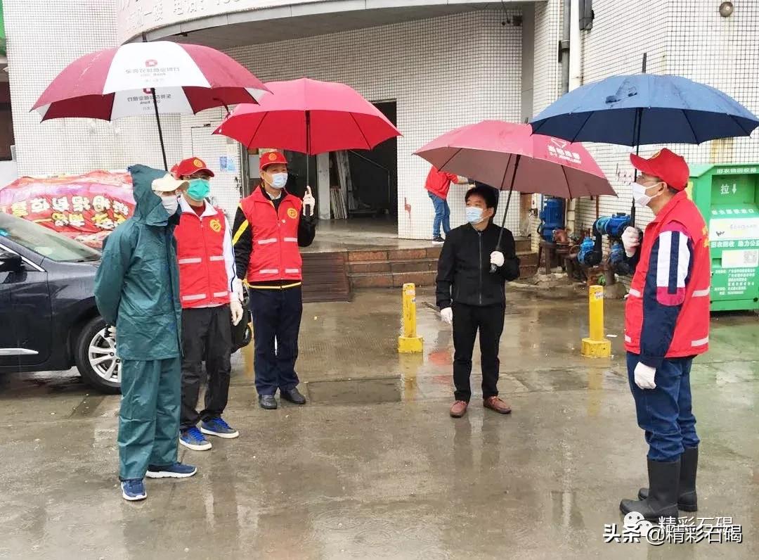 石碣最新疫情動(dòng)態(tài)，變化中的學(xué)習(xí)，鑄就未來(lái)力量