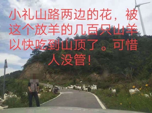 大悟最新路，探索未知，自信成就夢(mèng)想之旅的啟程