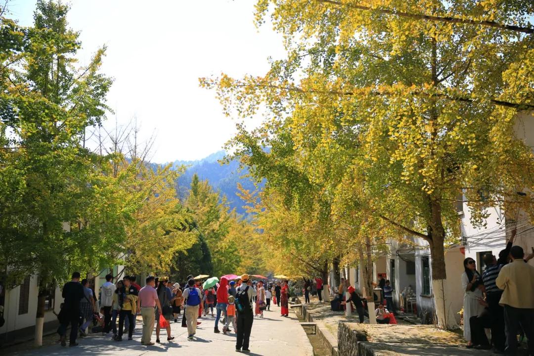 南雄最新現(xiàn)狀，科技前沿產(chǎn)品引領(lǐng)未來(lái)生活發(fā)展