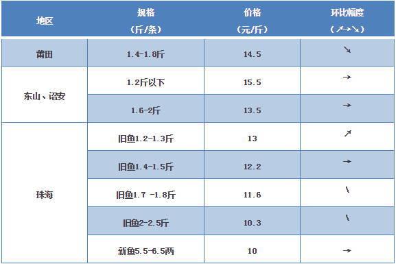 探索海鮮市場秘密，最新鱸魚價格一覽