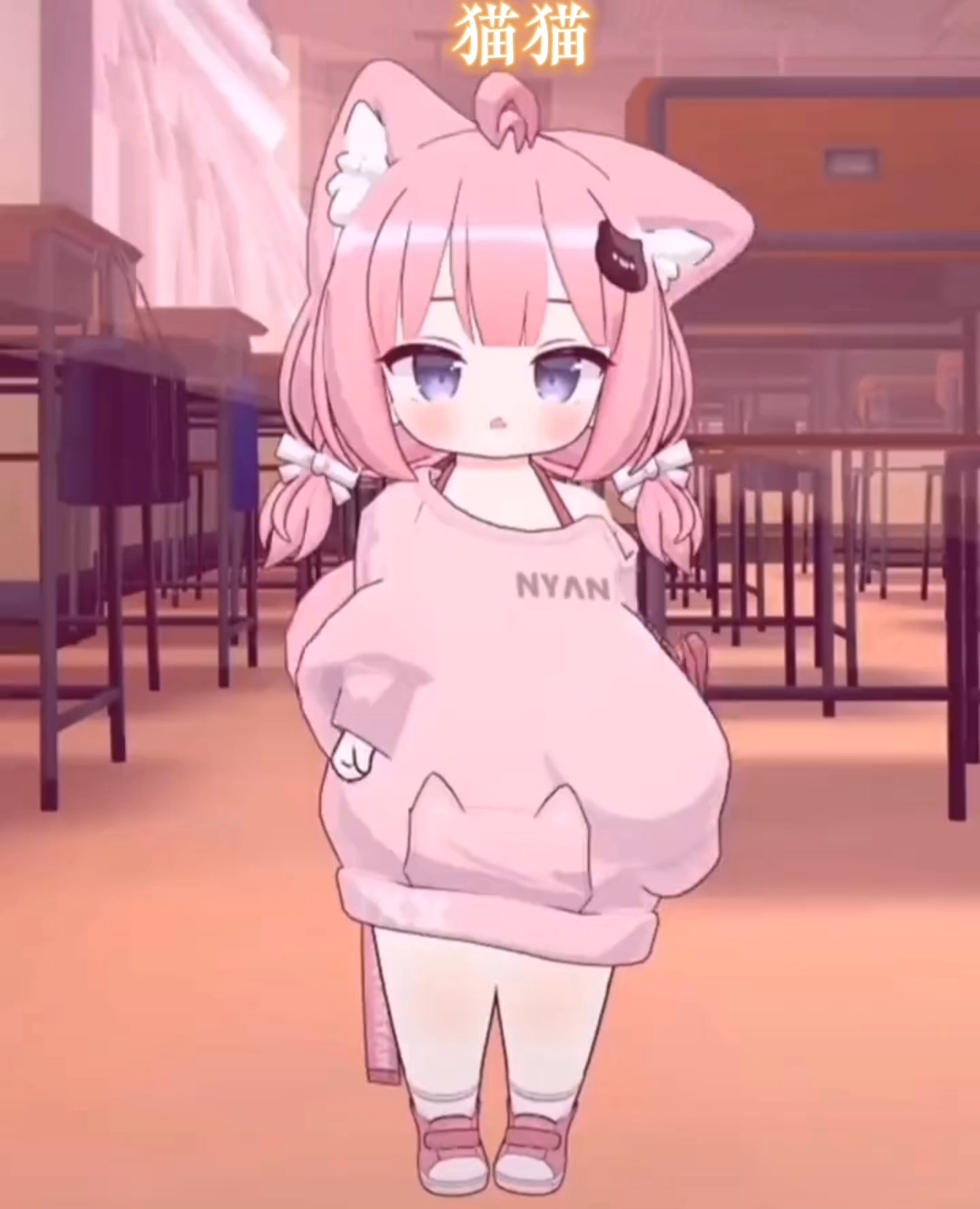 貓妹妹最新動(dòng)態(tài)，萌態(tài)盡顯，溫暖你的心??