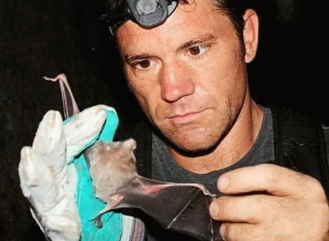 蝙蝠最新電影，自信與成長(zhǎng)的翅膀，勵(lì)志翱翔天空之旅