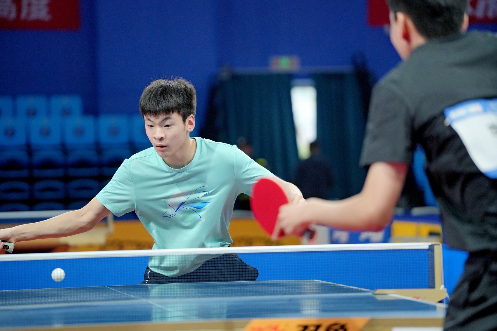 乒乓比賽最新動(dòng)態(tài)與成長(zhǎng)指南，一步步成為乒乓高手之路