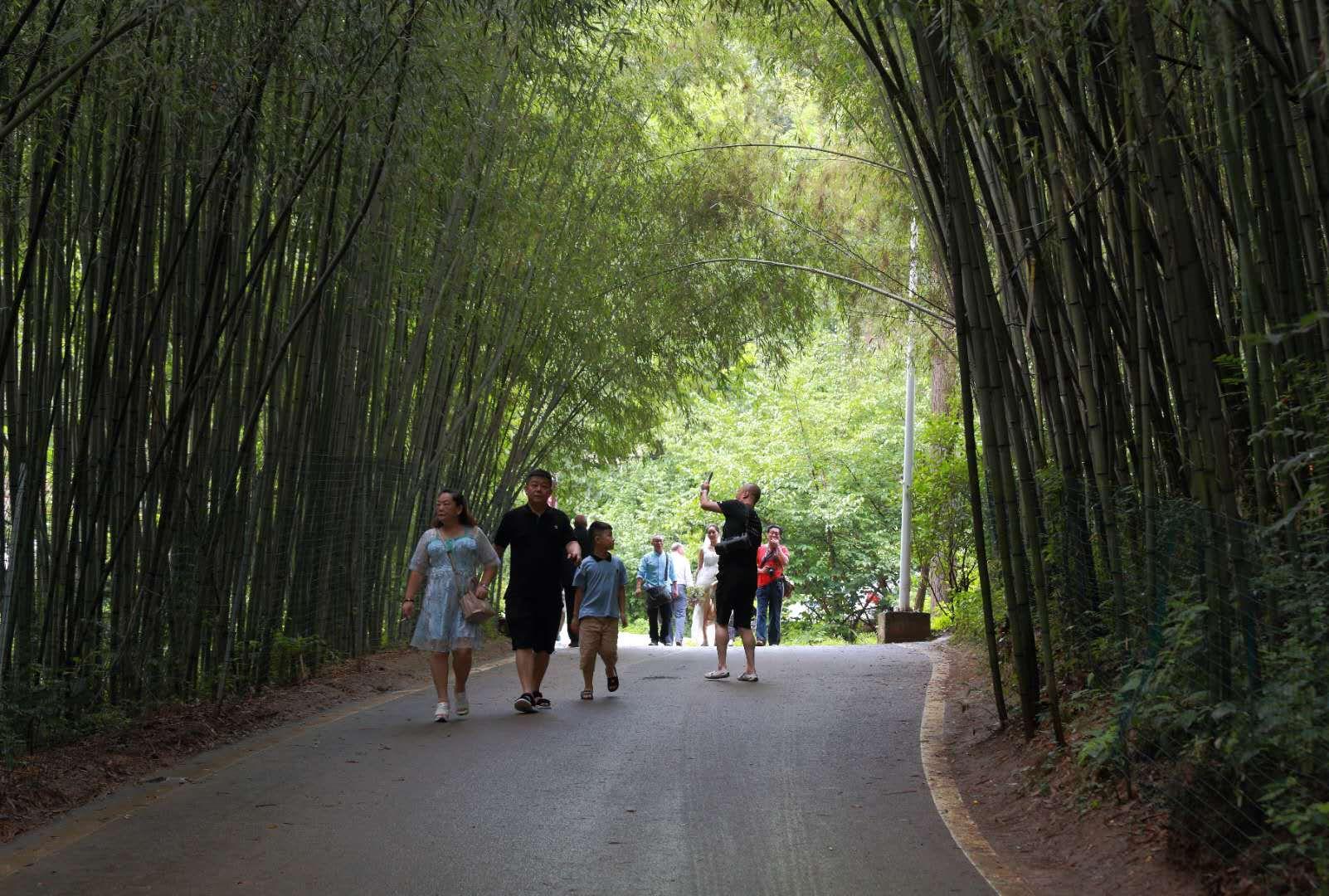 全家最新優(yōu)惠攻略，一步步教你享受最大優(yōu)惠折扣！