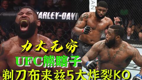 小菊最新比賽，友誼與夢(mèng)想的絢爛綻放