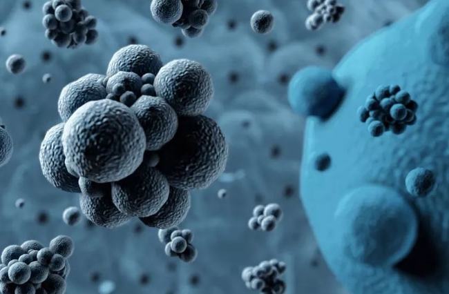 病毒擴(kuò)散最新情況，自然探險(xiǎn)之旅尋求內(nèi)心平和之地