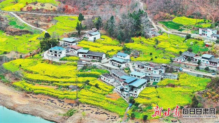 揭秘文縣，歷史背景、重大事件與時(shí)代地位全景展示