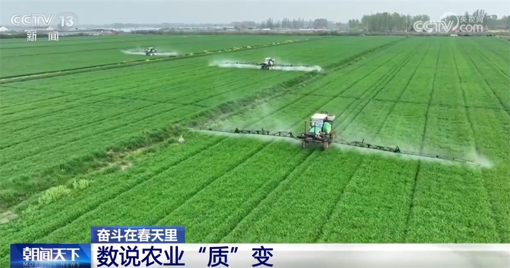 最新農(nóng)業(yè)農(nóng)村發(fā)展，播種希望，收獲自信與成就感