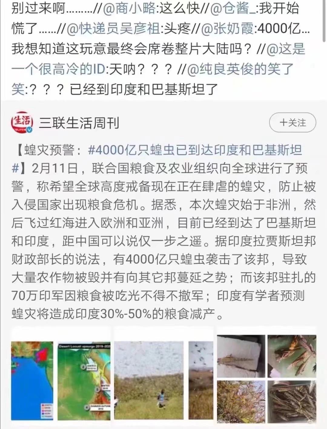 蝗蟲最新動(dòng)態(tài)，防治與監(jiān)測(cè)的全面指南