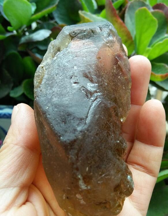 最新鑒定法，揭示友情的印記與家的溫馨