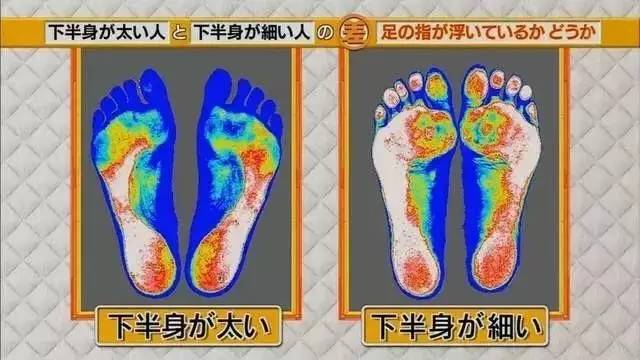 最新地趾論述，探索、爭議與觀點綜述