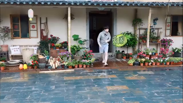 最新蘑菇屋，自然與生活完美融合的夢(mèng)幻之地