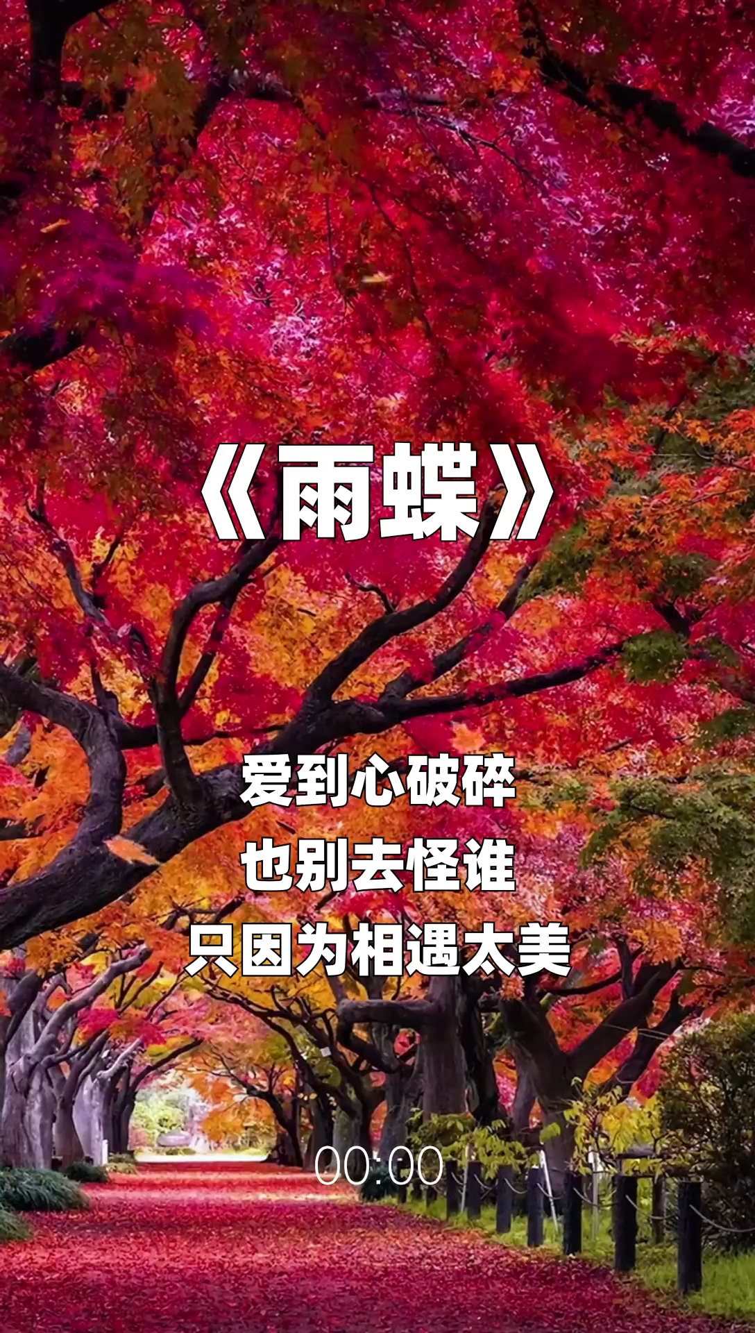 雨蝶最新步驟指南，如何完成任務(wù)或?qū)W習(xí)技能？