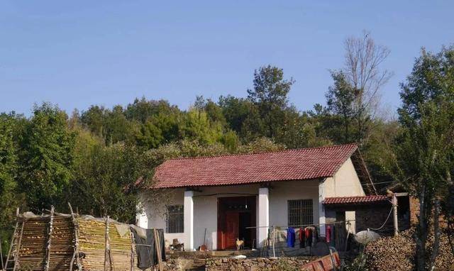 新時代田園生活揭秘，鄉(xiāng)村農(nóng)村的最新風貌與體驗