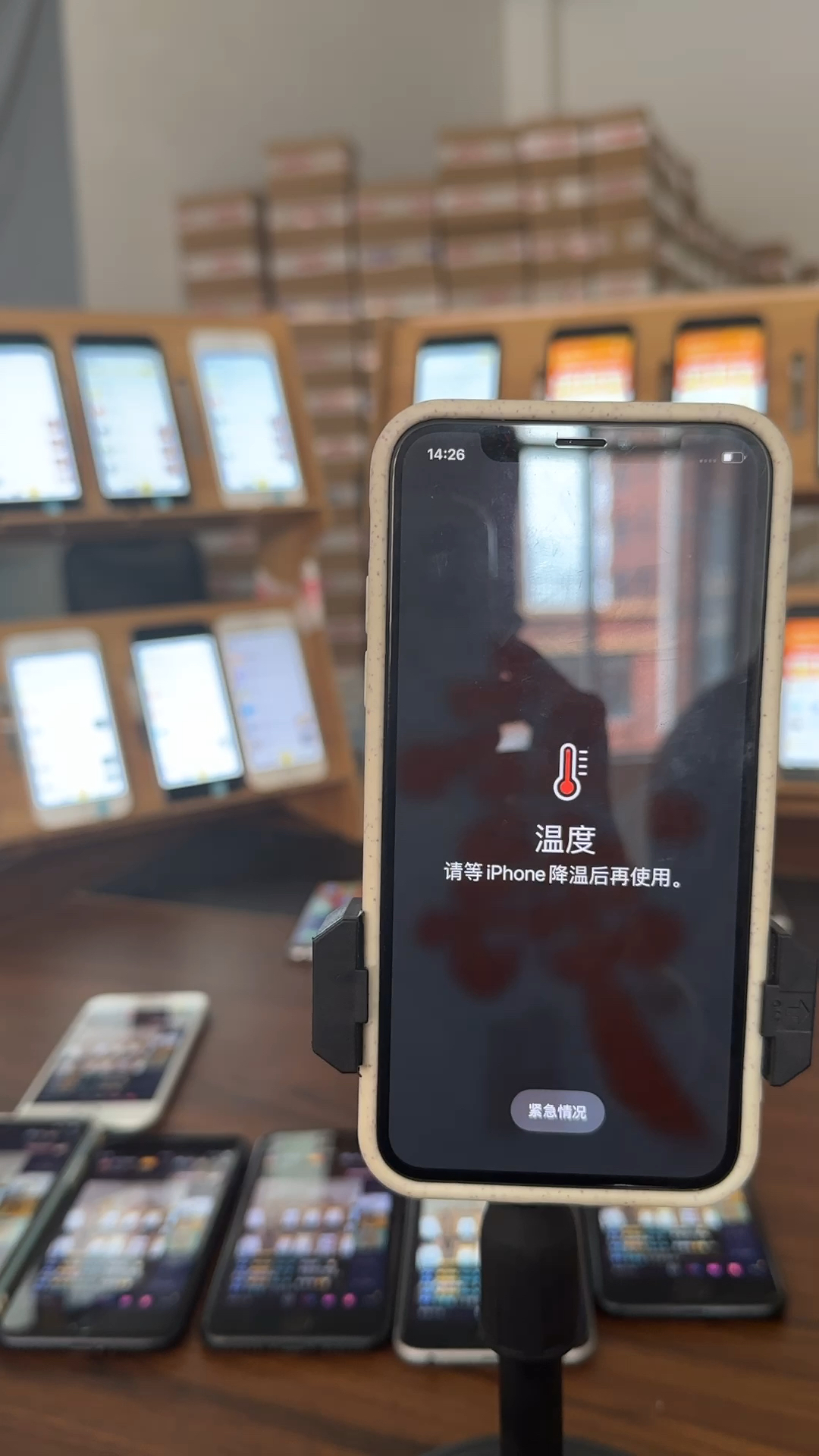 蘋果最新直播，科技與文化的完美融合盛宴