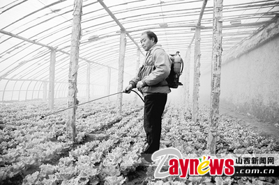 最新農(nóng)藥抽檢結(jié)果出爐，守護農(nóng)田安全，你我他的共同責(zé)任