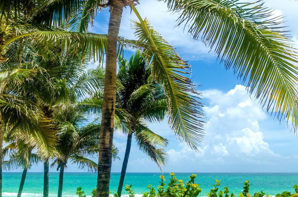 科技重塑旅行體驗，最新付費機場概覽