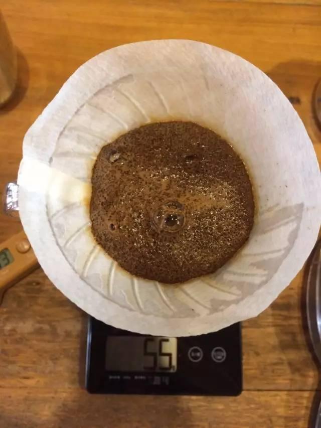 最新萃取法詳解，步驟指南與操作技巧