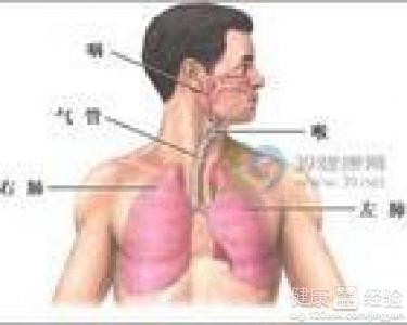 咸豐肺炎最新全面指南與詳解，癥狀、治療、步驟解析
