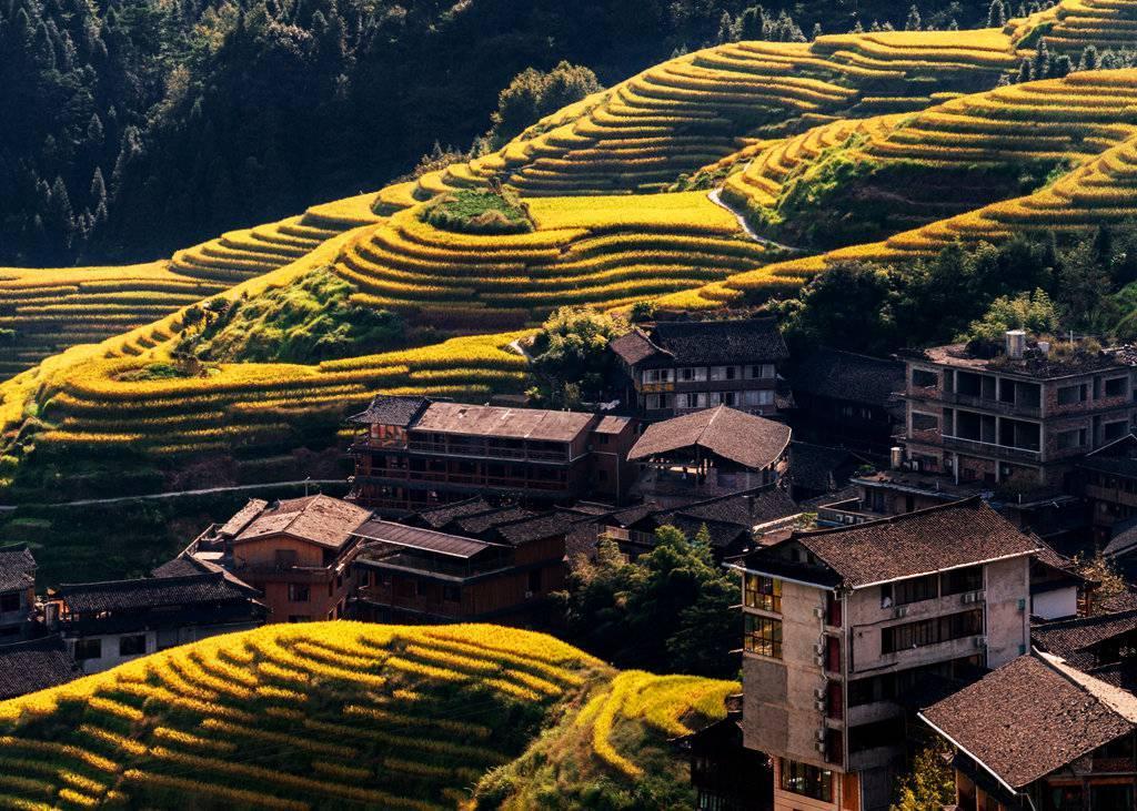 金秋天最新時(shí)尚潮流，獨(dú)特風(fēng)情展現(xiàn)魅力風(fēng)采