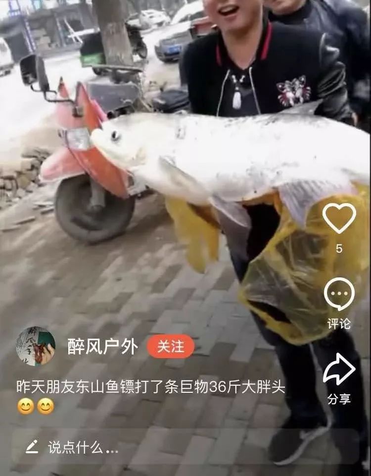 射魚神器進化升級，學(xué)習(xí)變革與自信成就之源