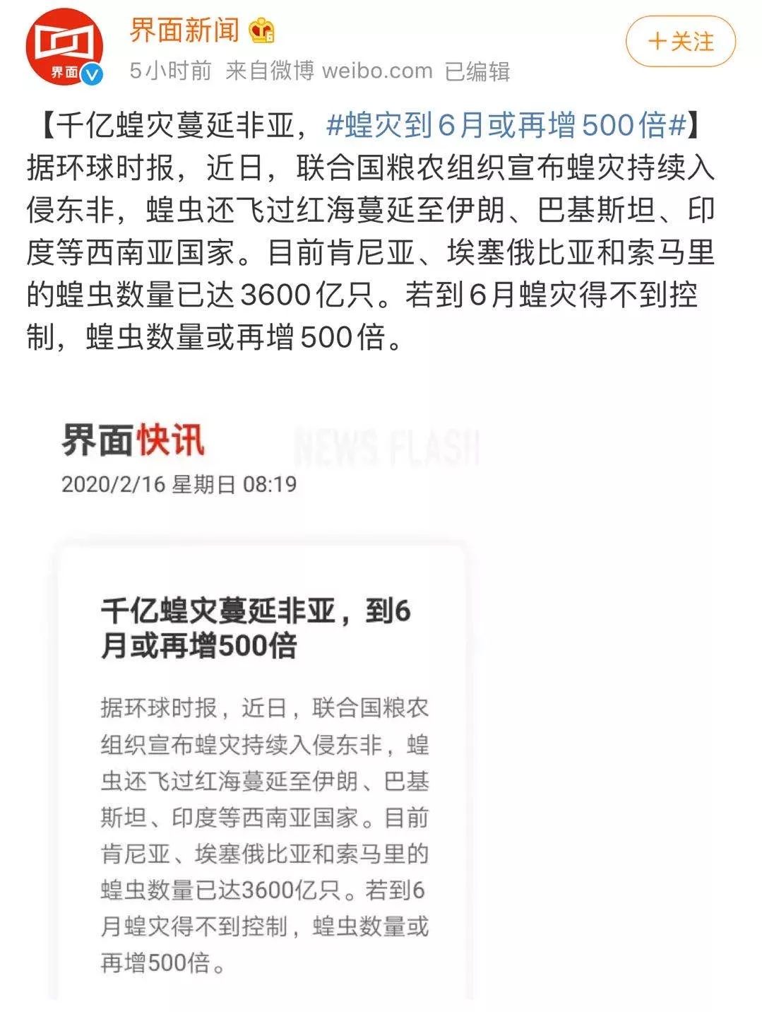 世界蝗災(zāi)最新動(dòng)態(tài)，探索自然美景的輕松之旅