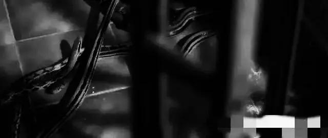 香港最新房?jī)r(jià)趨勢(shì)展望，2025年分析與展望