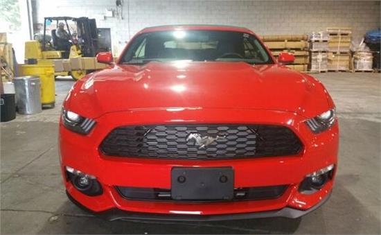 威路德最新款，小巷中的驚喜發(fā)現(xiàn)